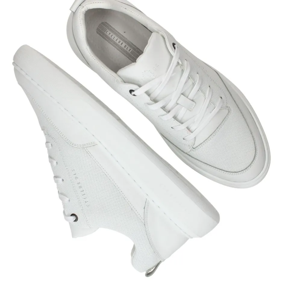 Cycleur DLX Buzz Sneakers Heren|Heren Sneakers