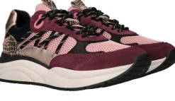 LOFF 1881 Sneakers Paars Dames|DAMES Sneakers