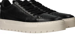 LOFF 1881 Sneakers Heren|Heren Sneakers
