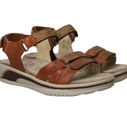 Wolky Acula Softy Wax Sandalen Bruin Dames|DAMES Sandalen|Comfort