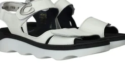 Wolky Medusa Sandalen Dames|DAMES Sandalen|Comfort
