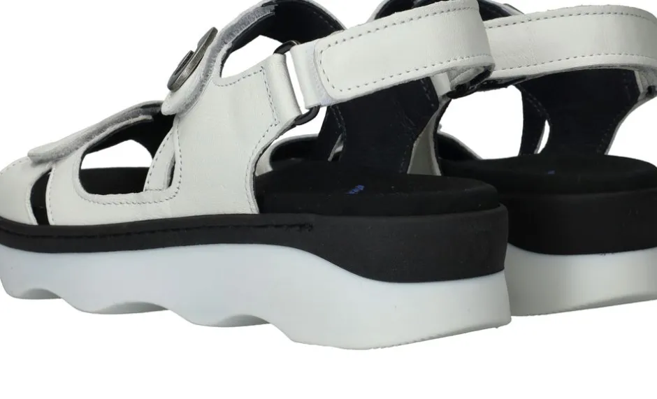Wolky Medusa Sandalen Dames|DAMES Sandalen|Comfort
